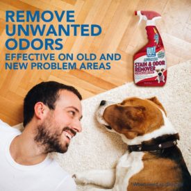 best carpet cleaners for pets