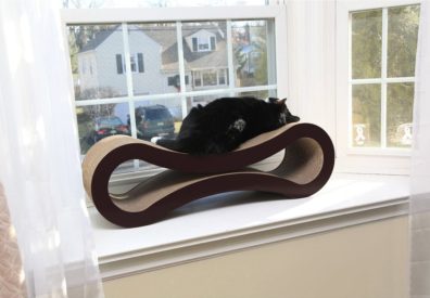 best cat beds 