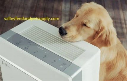 best air purifiers for pets 
