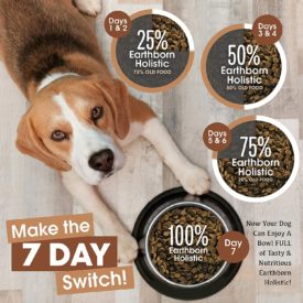 best dog food for terrier mix