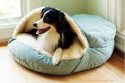 How to Choose The Best Cozy Cave Dog Bed