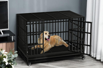 Top Dogs Kennels Review 2023: Selecting The Best Pet Home