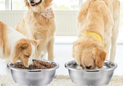 What food is best for Huskies?