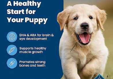 Best Puppy Grain-Free Formula– Top Healthy Choices 1 best puppy grain free formula