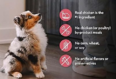 How to Choose the Best Puppy Food: Veterinarian-Approved 1 how to choose the best puppy food