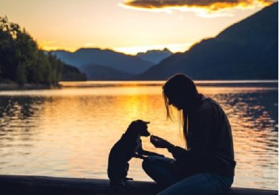 Orijen Dog Food Reviews: Why it's A Favorite 1 Orijen dog food reviews