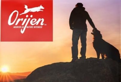 Best ORIJEN Grain-Free Dry Dog Food Taste of the Wild 1 best orijen grain free dry dog food