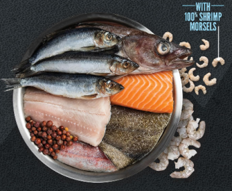 Best Orijen Amazing Grains Dry Dog Food 3 Amazing Grains dry dog food