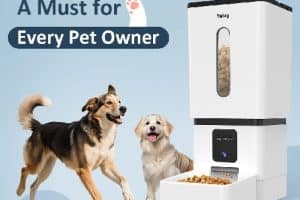 Best Automatic Dog Food Dispenser : Buyer’s Guide