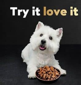 Best canned dog food for small dogs: Top Picks for Nutrition 1 Best canned dog food for small dogs