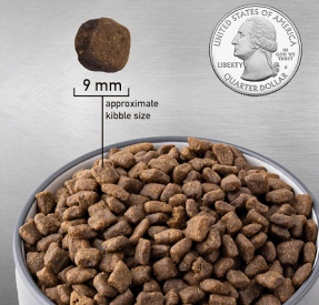 The Best Orijen Puppy Dog Food: Comprehensive Pet Parenting Guide 6 Dry Dog Food Small Breed