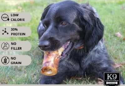 Best Dog Bones for Pet Supplies 4 Pet Supplies