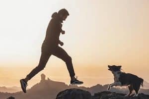 What food is Best for Huskies A Complete Guide