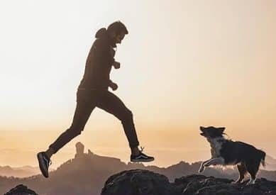 What food is best for Huskies