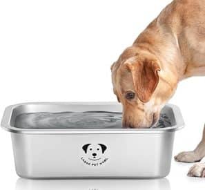 best Dog Bowls for Large Dogs 