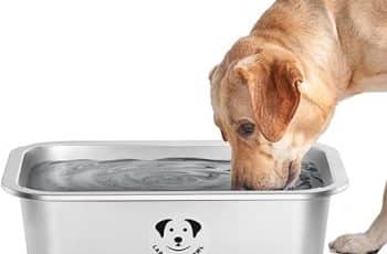 Best Dog Bowls for Large Dogs Stainless Steel Top Picks