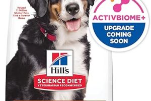 Best Dog Food for Siberian Huskies. Ultimate Guide to Choosing