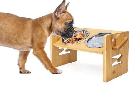 best elevated dog bowls for French bulldogs