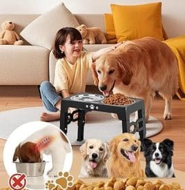 elevated dog bowls