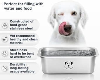 Best Stainless Steel Food and Water Bowls for Large Dogs 2 food and water bowls for dogs