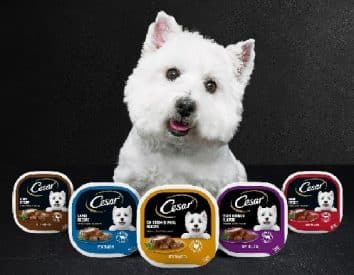 Best canned dog food for small dogs: Top Picks for Nutrition 6 food for small dogs