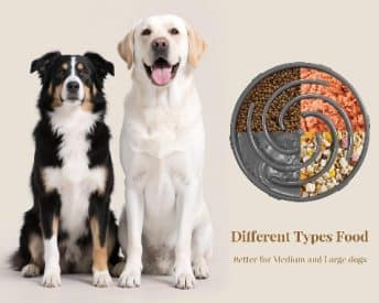 for Dogs has been checked