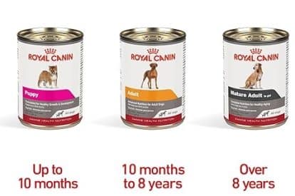 What Is Canned Dog Food: Best Brands 7 what is canned