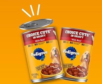 What Is Canned Dog Food: Best Brands 1 what is canned dog food