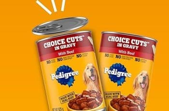 What Is Canned Dog Food: Best Brands