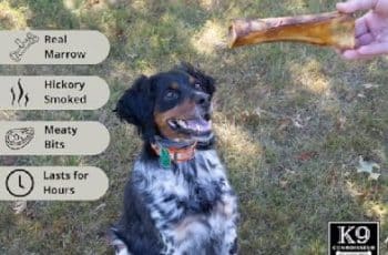 why do dogs like to chew bones? Best Answer