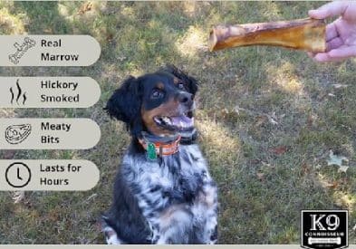 why do dogs like to chew bones? Best Answer 1 why-do-dogs-like-to-chew-bones