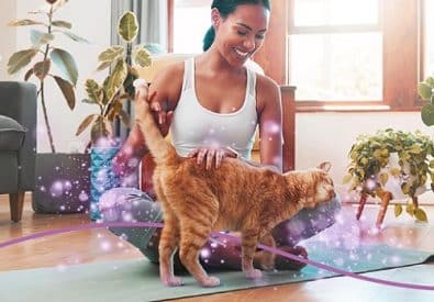 Do Cats Like to be Petted While Sleeping? 2 do cats like to be petted while sleeping