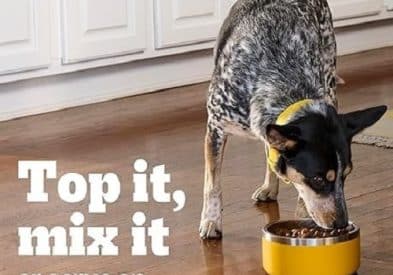 What Huskies Should Eat Best: A Complete Nutrition Guide 1 what huskies should eat: