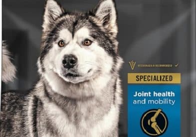 Best Puppy Food for Siberian Huskies: Top Nutrition Choices 1 best puppy food for Siberian Huskies